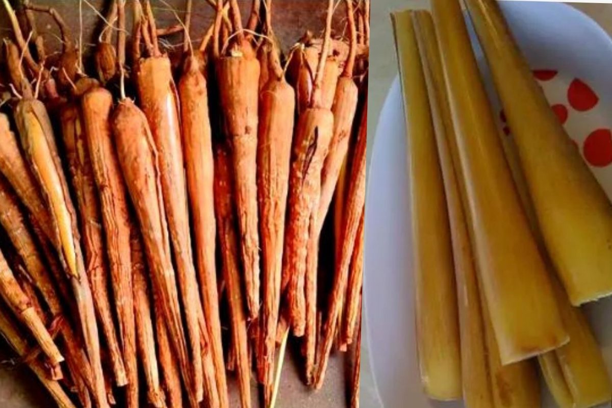 palm-sprouts-2024-02-e6ae9f7e4f298e2039253751f5ae21dd-3x2