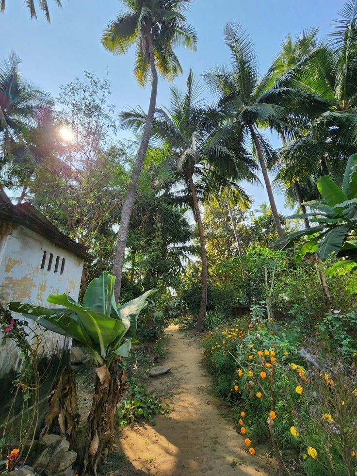 9a7c111add32769ab706f62b1ca185c1