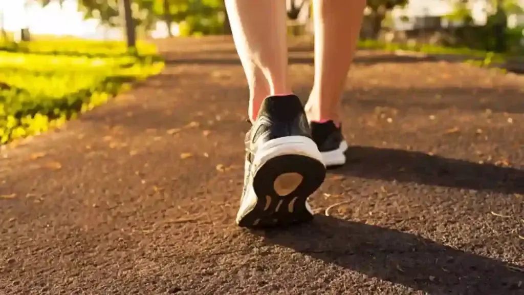 n65233985417398044917684ad7f2864beb39f6fbf2d4ea0c1daad4fe1e4af11a99acf5bdd23e1141411efc